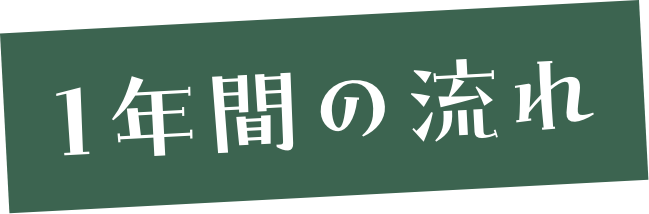 1年間の流れ